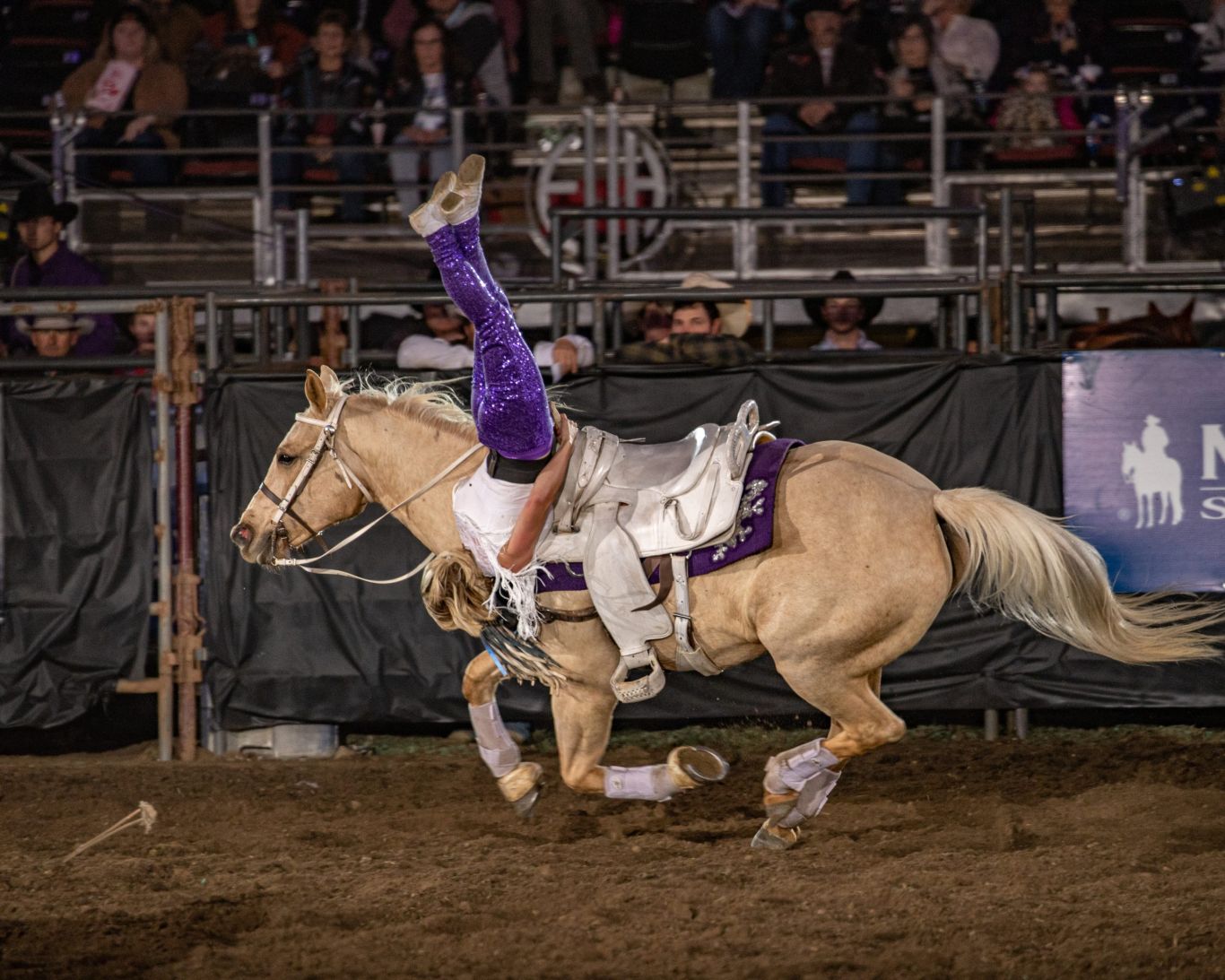 Ramona Rodeo 2025 Claire Sheilah