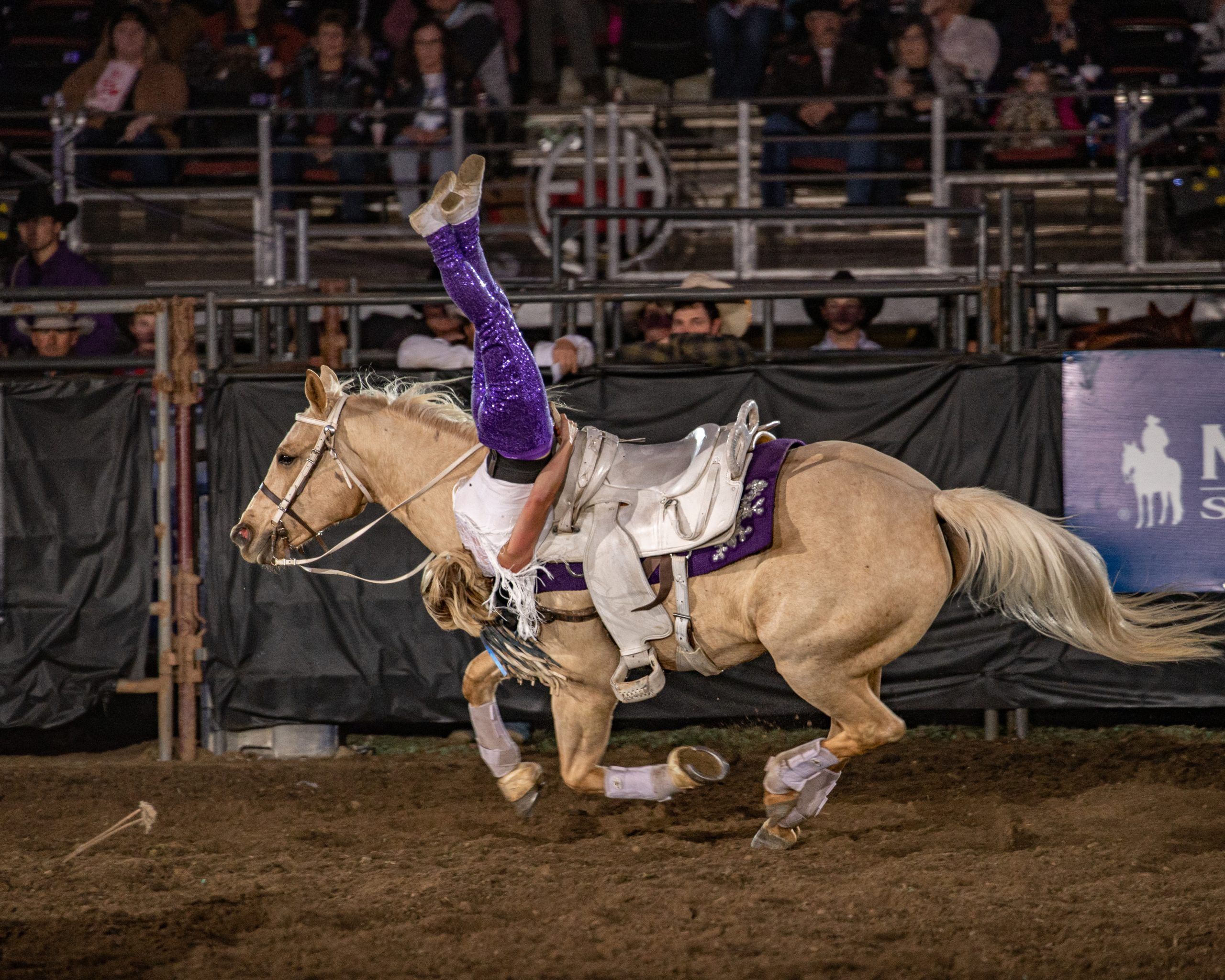 Shows Ramona Rodeo