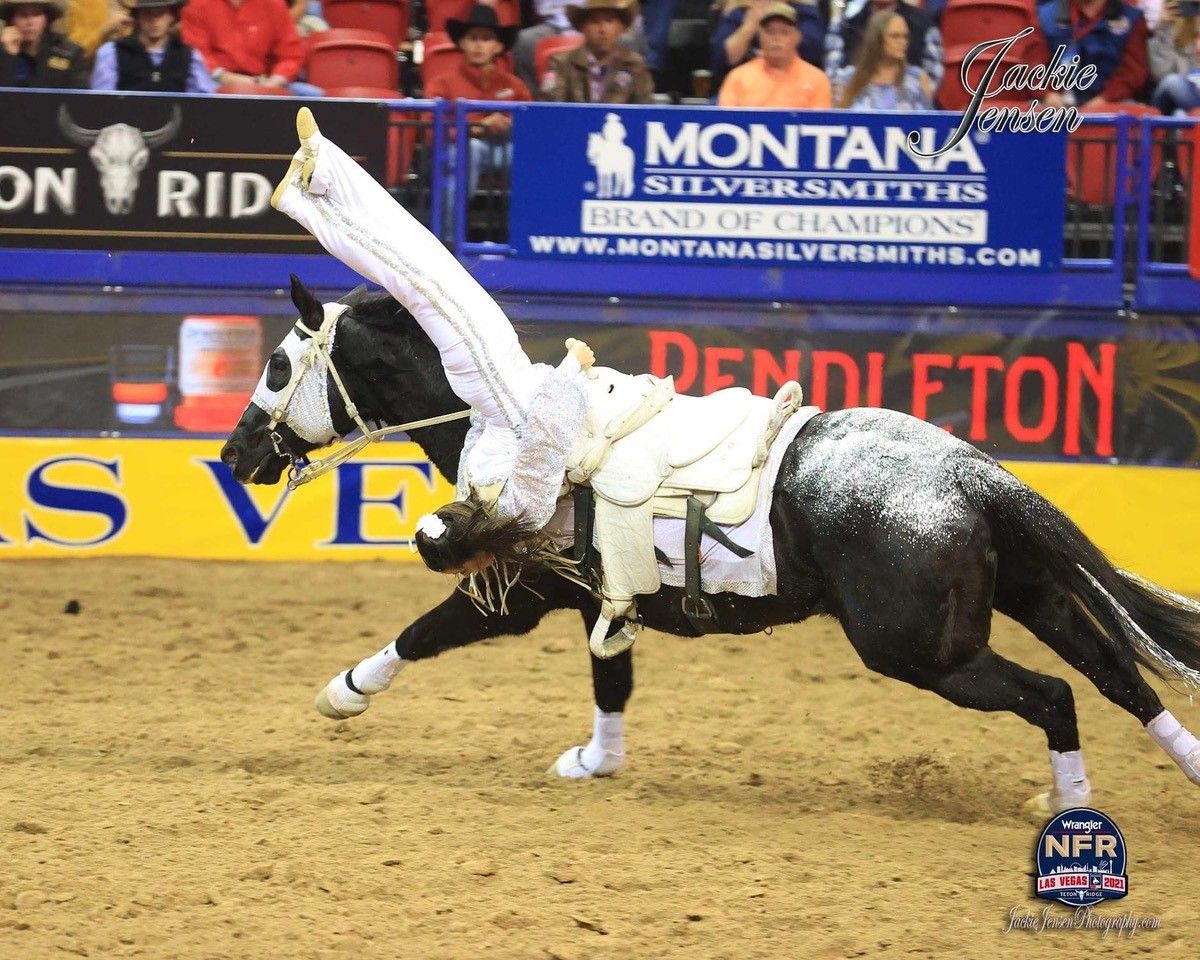 Shows Ramona Rodeo